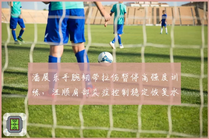 潘展乐手腕韧带拉伤暂停高强度训练,汪顺肩部炎症控制稳定恢复水下训练,泳坛新星与老将伤停策略对比鲜明