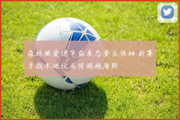 森林狼爱德华兹表态要当领袖 新赛季战术地位或将超越唐斯