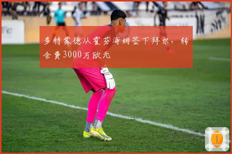 多特蒙德从霍芬海姆签下拜尔,转会费3000万欧元