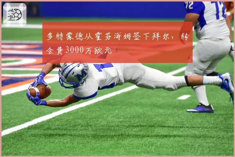 多特蒙德从霍芬海姆签下拜尔,转会费3000万欧元